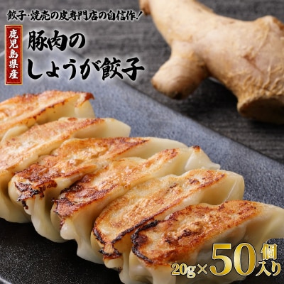 餃子・焼売の皮専門店の自信作!鹿児島県産豚肉のしょうが餃子　K033-004