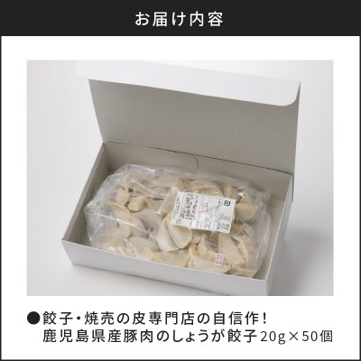 餃子・焼売の皮専門店の自信作!鹿児島県産豚肉のしょうが餃子　K033-004