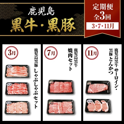 鹿児島黒牛・黒豚定期便(全3回)　K127-T02