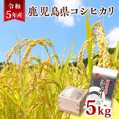 令和5年産鹿児島県コシヒカリ5kg　K226-001_01