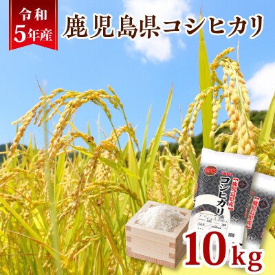 令和5年産鹿児島県コシヒカリ10kg　K226-001_02