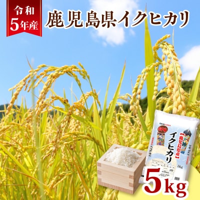令和5年産鹿児島県イクヒカリ5kg　K226-001_05