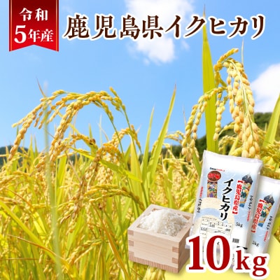 令和5年産鹿児島県イクヒカリ10kg　K226-001_06