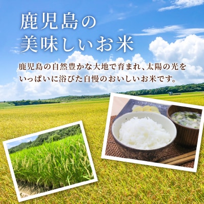 令和5年産鹿児島県なつほのか10kg　K226-001_10