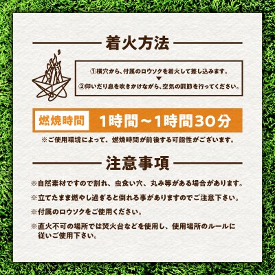 スウェーデントーチ　1本　K180-005_01