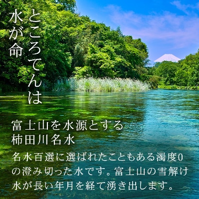 柿田川名水ところてん(6人前) 風呂敷包み ミニ突き棒付き