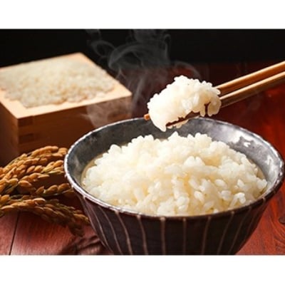 【JAふじ伊豆】するがの極　5Kg(精米)