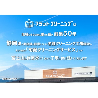 フラットクリーニング】の保管20点パック利用券 | お礼品詳細