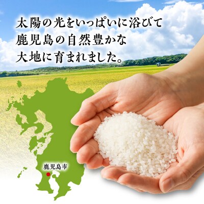 令和5年産BG無洗米鹿児島県ヒノヒカリ 10kg　K226-004_04
