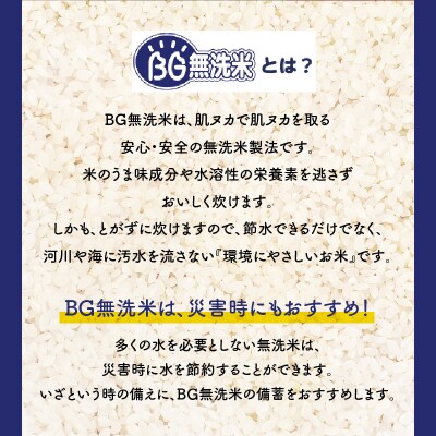 令和5年産BG無洗米鹿児島県ヒノヒカリ 10kg　K226-004_04