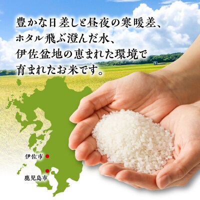 令和5年産鹿児島県伊佐産ヒノヒカリ(いさひかり)5kg　K226-005_01