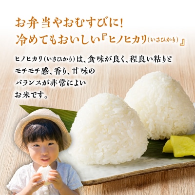 令和5年産鹿児島県伊佐産ヒノヒカリ(いさひかり)5kg　K226-005_01