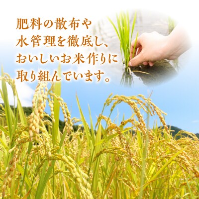 令和5年産鹿児島県伊佐産ヒノヒカリ(いさひかり)10kg　K226-005_02