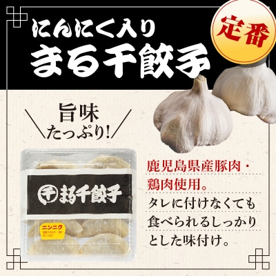 まる千餃子　食べ比べセット　K067-003