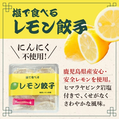 まる千餃子　食べ比べセット　K067-003