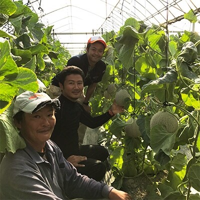 冬の贅沢!南国育ちのアールスメロン2玉