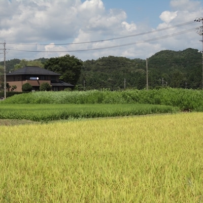 30年産岐阜県山県市産米5種食べ比べセット『山県米物語』　