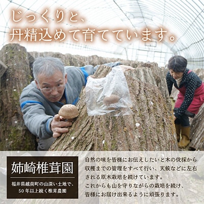 乾燥椎茸Aセット