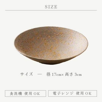 「光窯　司辻光男」【越前焼】そば鉢 2個セット