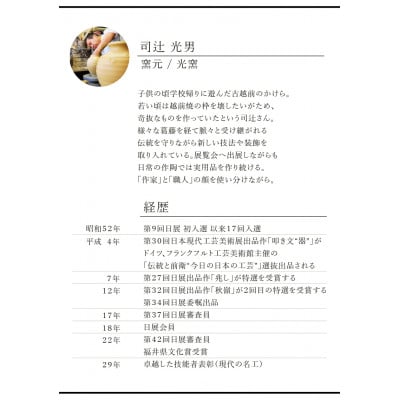 「光窯　司辻光男」【越前焼】そば鉢 2個セット