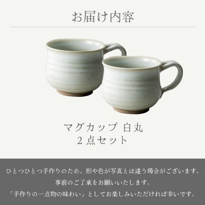 「光窯　司辻光男」【越前焼】マグカップ 丸 白 2個セット
