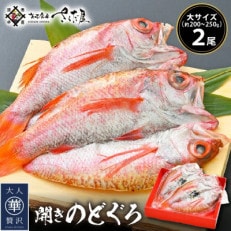 開きのどぐろ (1尾/200g前後)×2尾