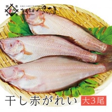 干し赤がれい (1尾×3パック入り) | ふるさと納税のお礼品
