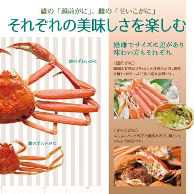 「越前がに」「この道50年の職人が選ぶ」浜茹越前ずわいがに　1100～1300g　2杯