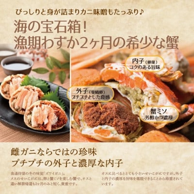 「越前がに」「この道50年の職人が選ぶ」浜茹せいこがに　100～150g　5杯