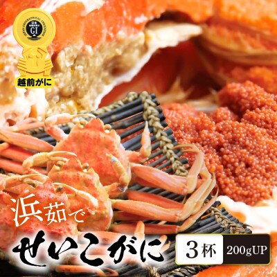 「越前がに」「この道50年の職人が選ぶ」浜茹せいこがに　200gUP　3杯