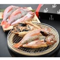 【創業60年以上】越前塩で味付け!干物　開きのどぐろ(200～250gx5尾) | ふるさと納税のお礼品