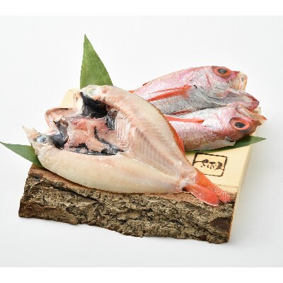 【創業60年以上】越前塩で味付け!干物開きのどぐろ(300～350x2尾)(桐箱入)