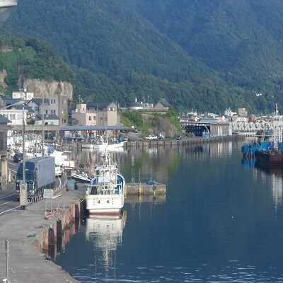 【創業60年以上】越前塩で味付け!干物干しはたはた90尾(3尾x30P)