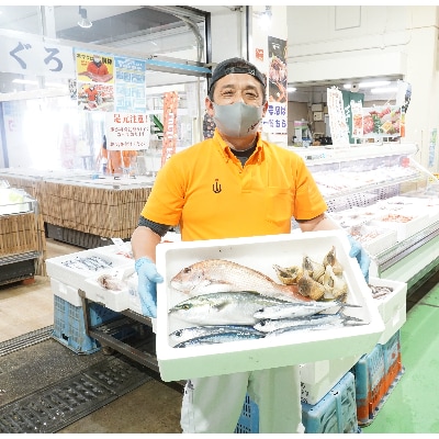 越前港直送　朝獲れお魚詰め合わせ　　　　4種類