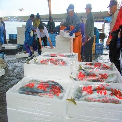越前港直送 朝獲れお魚詰め合わせ 3種類