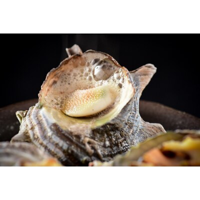 豪快 浜の味 海鮮缶焼き 国産 貝づくし 3種盛り サザエ 殻付きカキ 片貝ほたて お礼品詳細 ふるさと納税なら さとふる