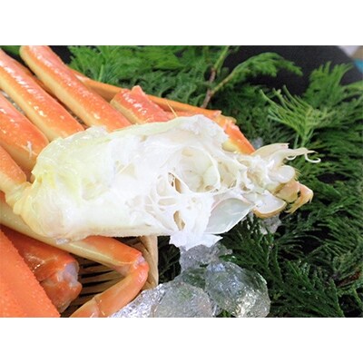 越前の茹で水カニ(中級/4肩※2杯分)