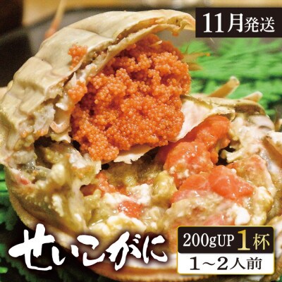 (11月発送)「越前がに」「この道50年の職人が選ぶ」浜茹せいこがに≪200gUP1杯≫1～2人前