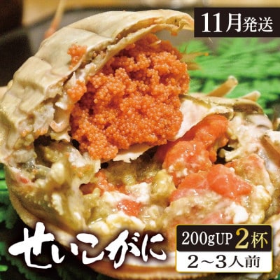 (11月発送)「越前がに」「この道50年の職人が選ぶ」浜茹せいこがに≪200gUP2杯≫2～3人前