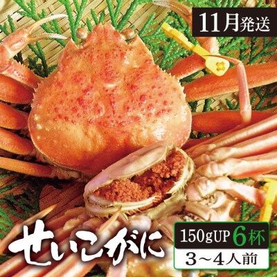 (11月発送)「越前がに」「この道50年の職人が選ぶ」浜茹せいこがに≪150gUP6杯≫3～4人前