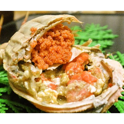 (11月発送)「越前がに」「この道50年の職人が選ぶ」浜茹せいこがに≪150gUP2杯≫1～2人前