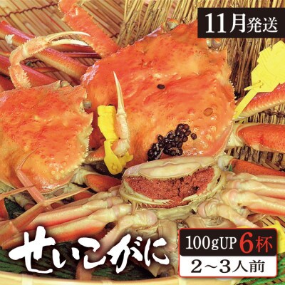 (11月発送)「越前がに」「この道50年の職人が選ぶ」浜茹せいこがに≪100gUP6杯≫2～3人前