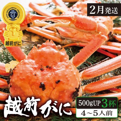 (2月発送)【越前がに】「この道50年の職人が選ぶ」浜茹越前ずわい≪500gUP3杯≫4～5人前