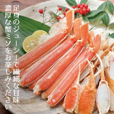 (3月発送)【越前がに】「この道50年の職人が選ぶ」浜茹越前ずわい≪300gUP3杯≫3～4人前