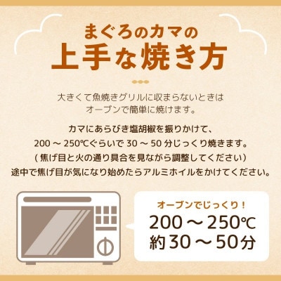 本マグロカマ2kg!!