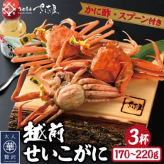 浜茹で越前せいこがに約170～220g3杯　かに酢&かにスプーン付き