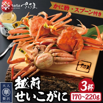 浜茹で越前せいこがに約170～220g3杯 かに酢&かにスプーン付き | お