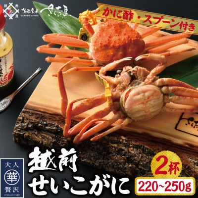 浜茹で越前せいこがに約220～250g2杯　かに酢&かにスプーン付き