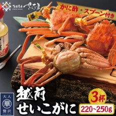 浜茹で越前せいこがに約220～250g3杯　かに酢&かにスプーン付き