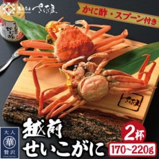 浜茹で越前せいこがに約170～220g2杯　かに酢&かにスプーン付き